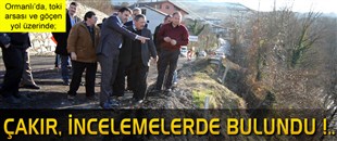 ÇAKIR, ORMANLI'DA İNCELEMELERDE BULUNDU..