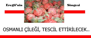 OSMANLI ÇİLEĞİ TESCİL ETTİRİLECEK..