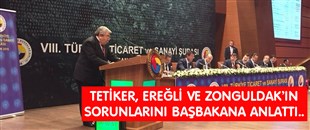 TETİKER, EREĞLİ VE ZONGULDAK'IN SORUNLARINI, BAŞBAKANA ANLATTI..