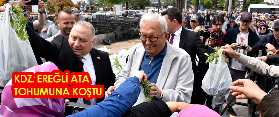 KDZ. EREĞLİ ATA TOHUMUNA KOŞTU